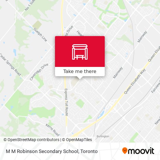 M M Robinson Secondary School plan