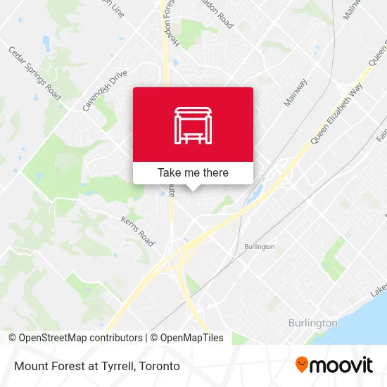Mount Forest at Tyrrell map