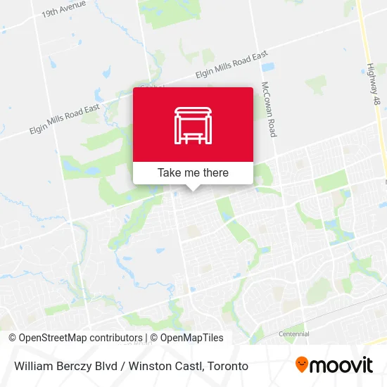 William Berczy Blvd / Winston Castl map