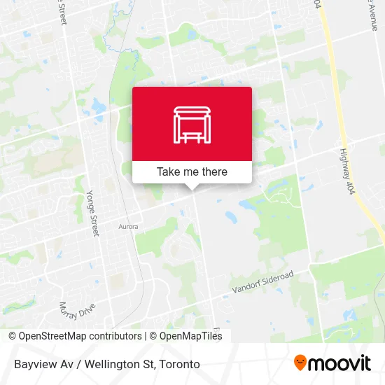 Bayview Av / Wellington St map