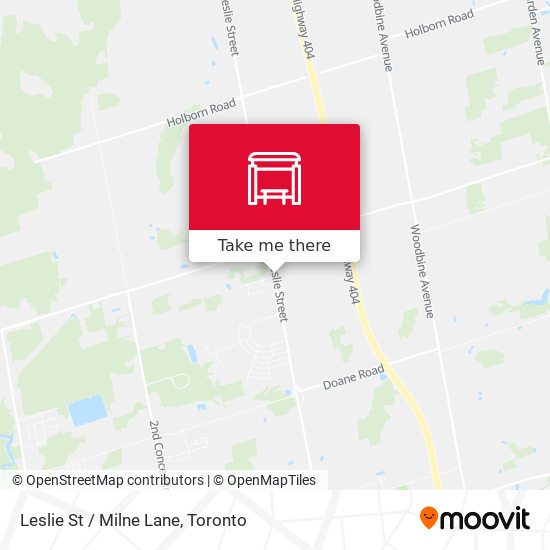 Leslie St / Milne Lane plan