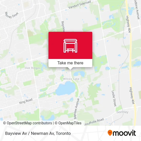 Bayview Av / Newman Av map
