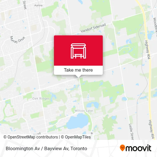 Bloomington Av / Bayview Av map