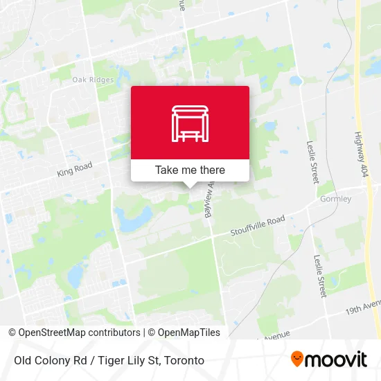 Old Colony Rd / Tiger Lily St map