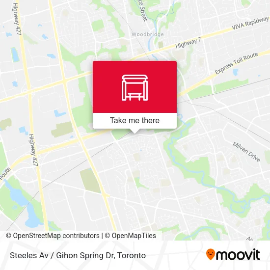 Steeles Av / Gihon Spring Dr map