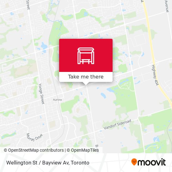 Wellington St / Bayview Av map