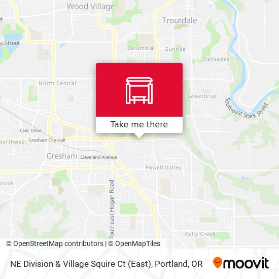 NE Division & Village Squire Ct (East) map