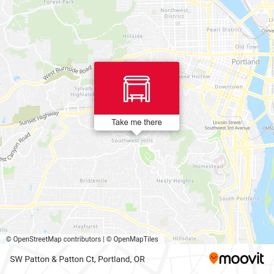 SW Patton & Patton Ct map