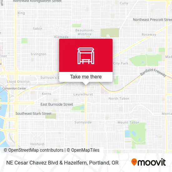 NE Cesar Chavez Blvd & Hazelfern map