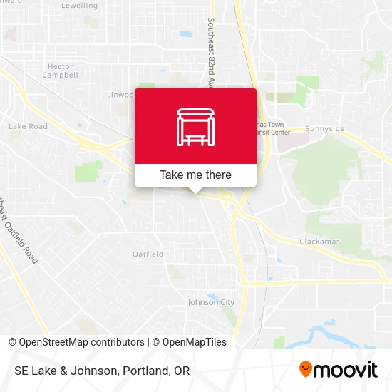 SE Lake & Johnson map
