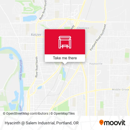 Hyacinth @ Salem Industrial map