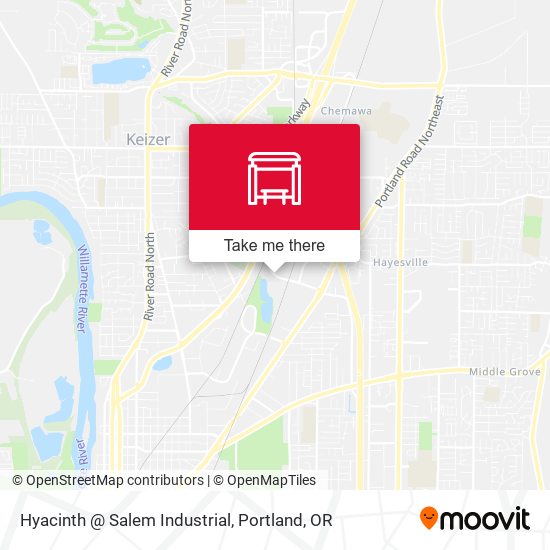 Hyacinth @ Salem Industrial map