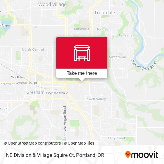 NE Division & Village Squire Ct map