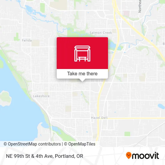 NE 99th St & 4th Ave map