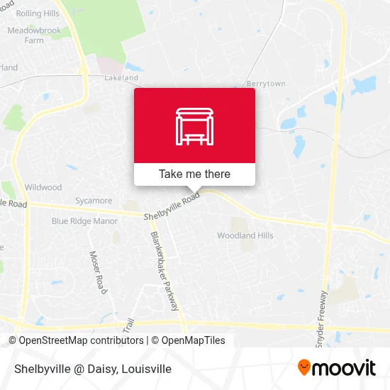 Shelbyville @ Daisy map