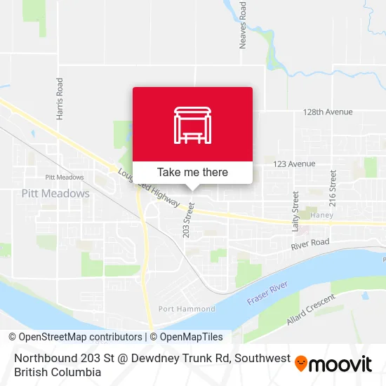 Northbound 203 St @ Dewdney Trunk Rd map