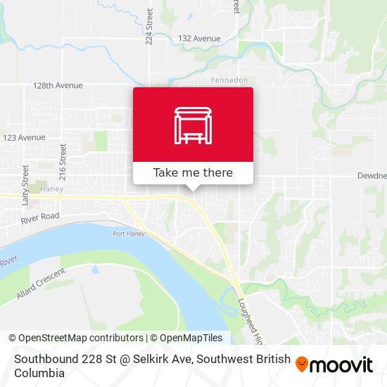 Southbound 228 St @ Selkirk Ave map