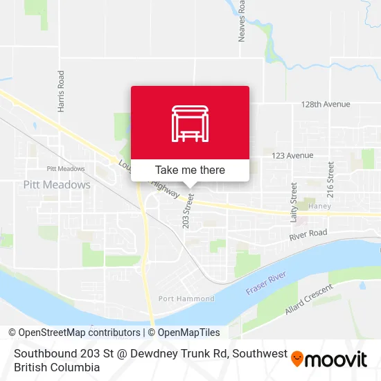 Southbound 203 St @ Dewdney Trunk Rd map