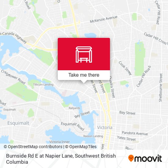 Burnside Rd E at Napier Lane map