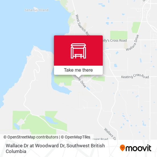 Wallace Dr at Woodward Dr plan
