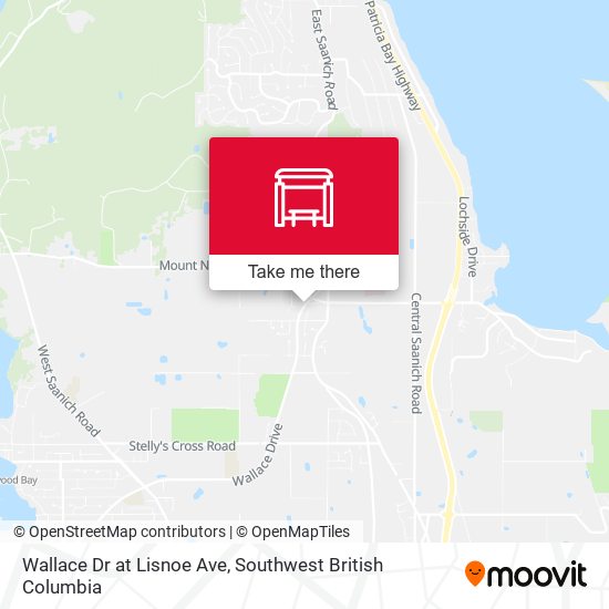 Wallace Dr at Lisnoe Ave map