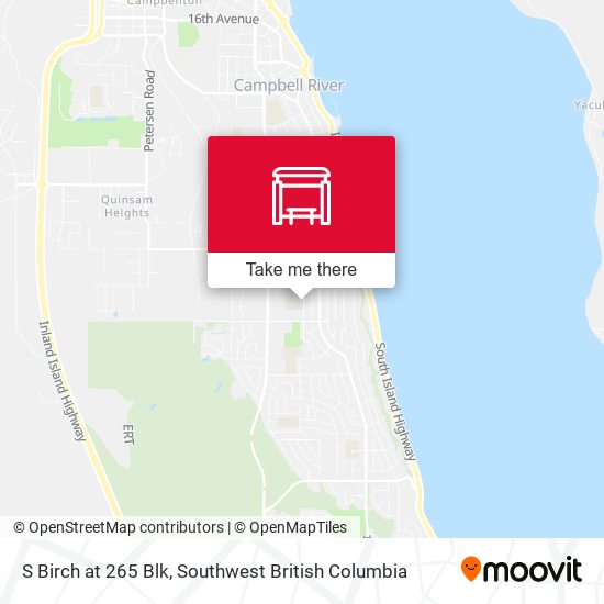 S Birch at 265 Blk map