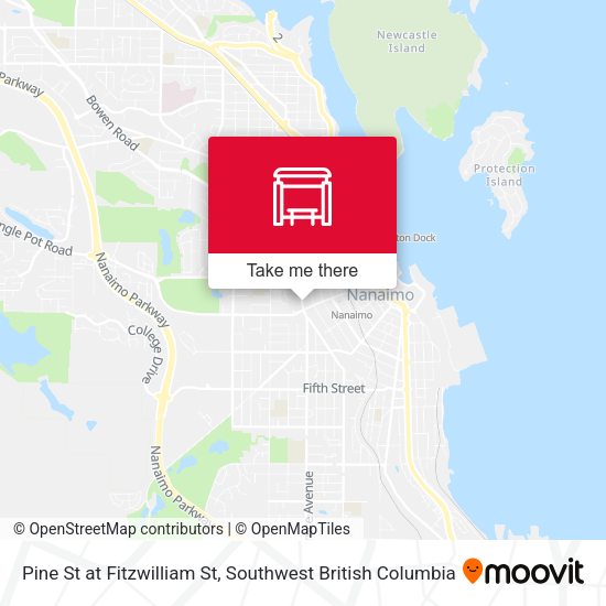Pine St at Fitzwilliam St map
