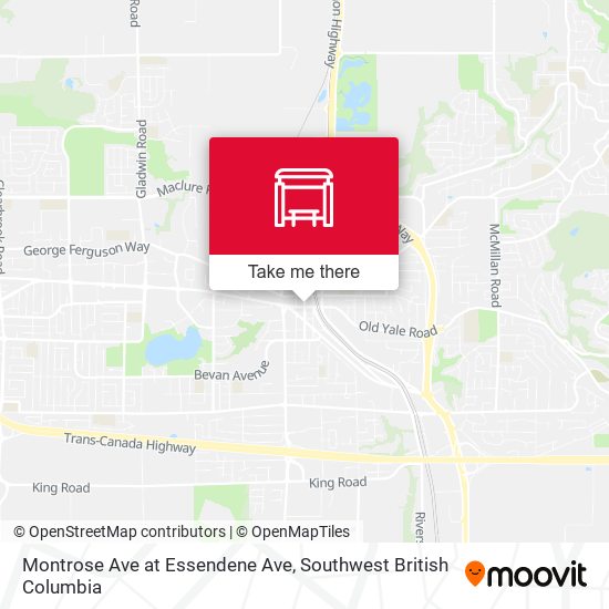 Montrose Ave at Essendene Ave map