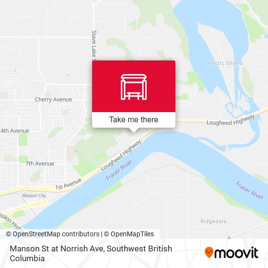 Manson St at Norrish Ave map
