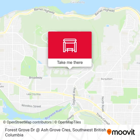 Forest Grove Dr @ Ash Grove Cres map