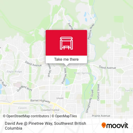 David Ave @ Pinetree Way plan