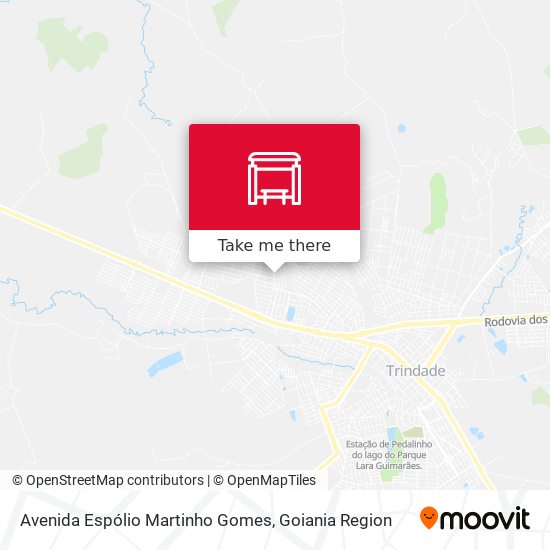Avenida Espólio Martinho Gomes map