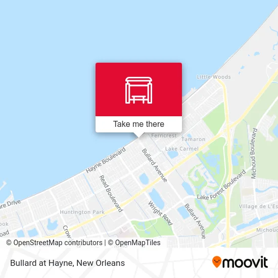 Bullard at Hayne map