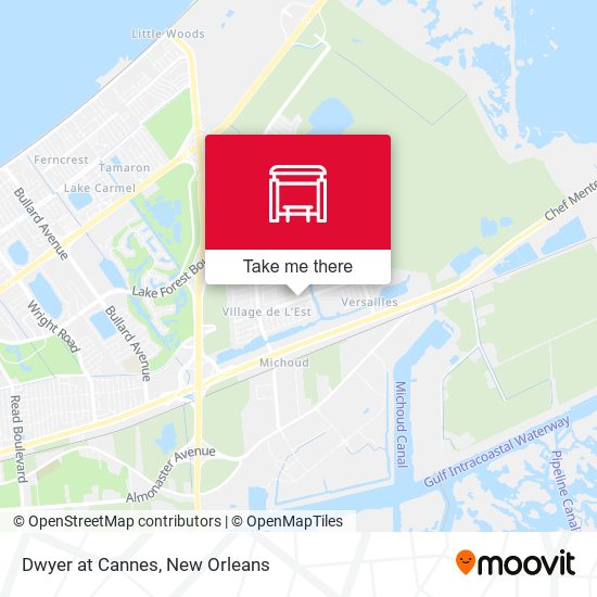 Dwyer at Cannes map