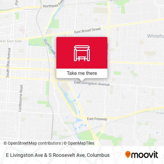 Mapa de E Livingston Ave & S Roosevelt Ave