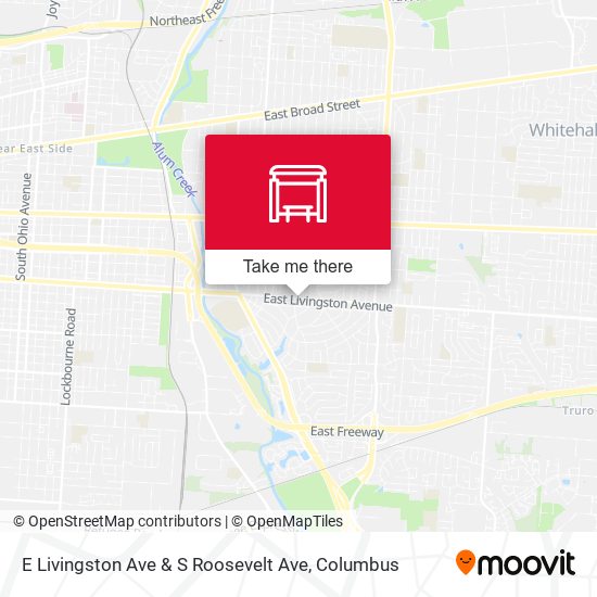 E Livingston Ave & S Roosevelt Ave map