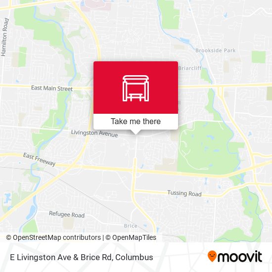 E Livingston Ave & Brice Rd map