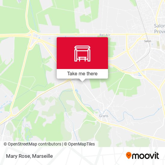 Mary Rose map