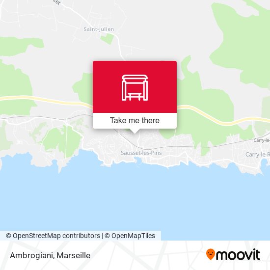 Ambrogiani map