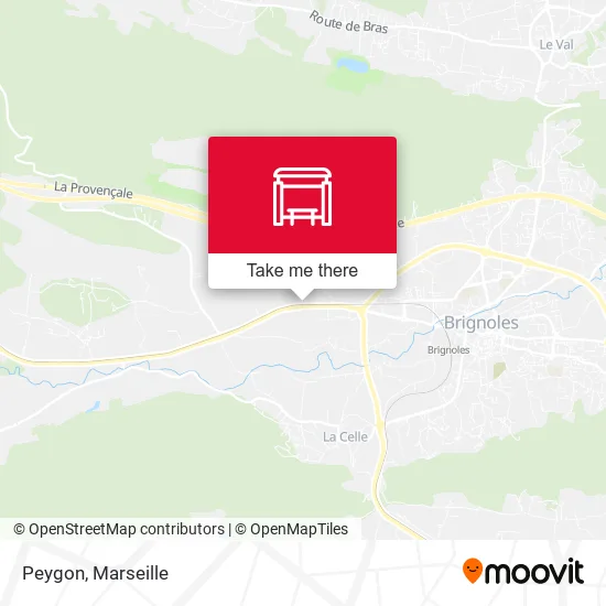 Peygon map