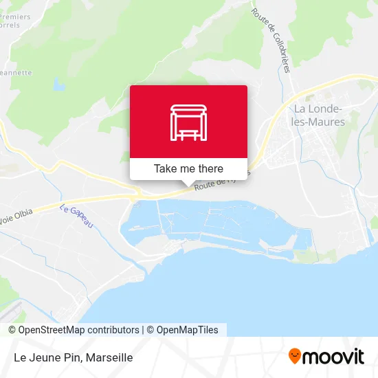 Le Jeune Pin map
