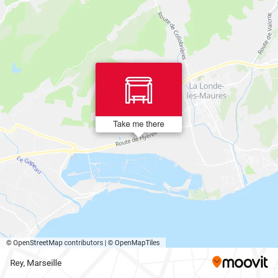 Rey map