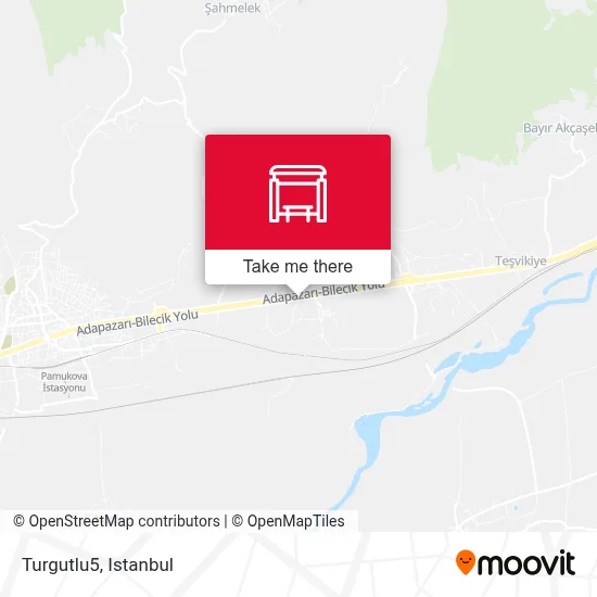 Turgutlu5 map