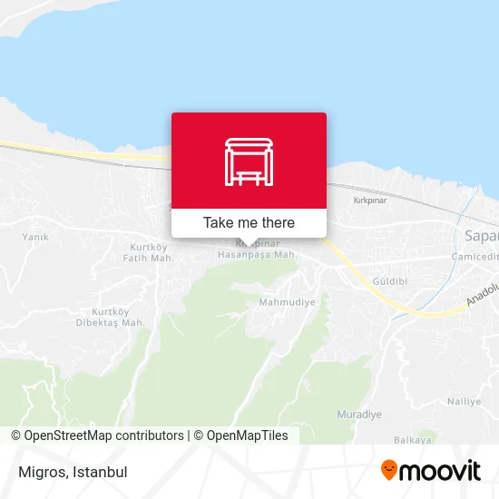 Migros map