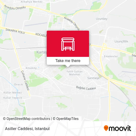 Asiller Caddesi map