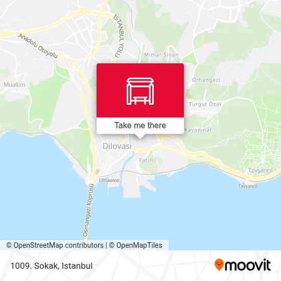 1009. Sokak map