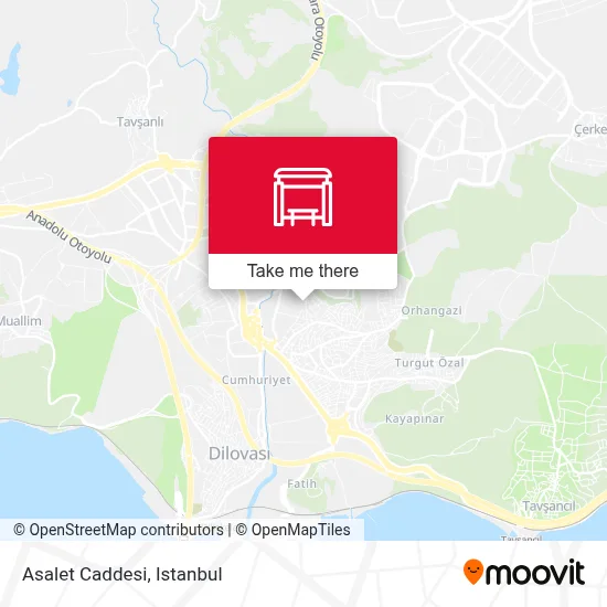 Asalet Caddesi map