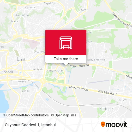 Okyanus Caddesi 1 map