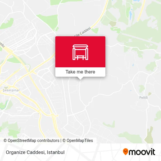Organize Caddesi map