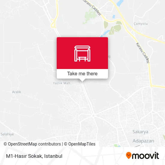 M1-Hasır Sokak map